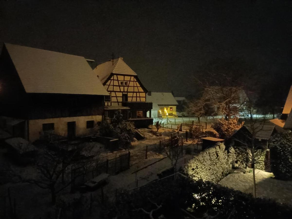 Ferienwohnung Sonnenschein Rheinhausen Exterior foto